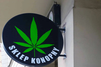 Где в Польше купить легально марихуану (CBD)?